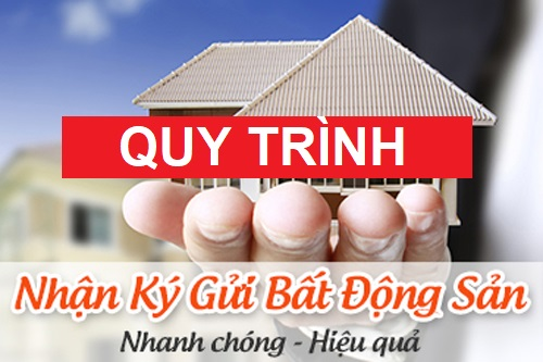 Kí gửi nhà đất 1 Picture22